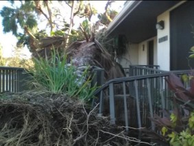 Our Lady of Perpetual Help Villa 2 storm damage