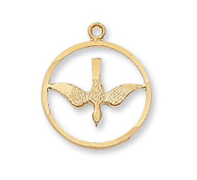 G/SS Holy Spirit Medal