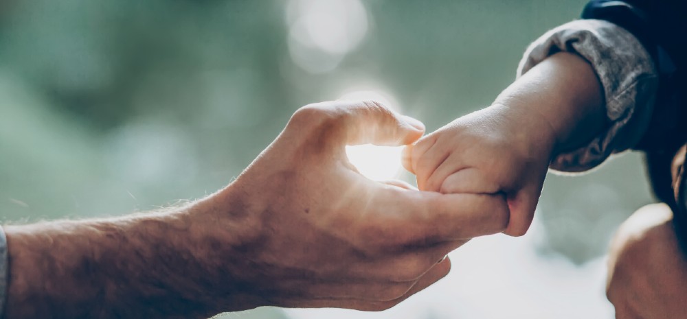 The hand of a young boy holding his father's hand. Light is shining through the two hands.