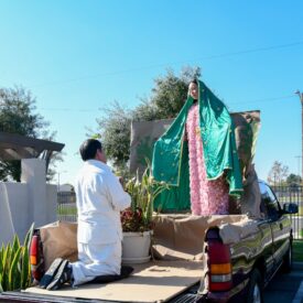 Preparing for the Our Lady of Guadalupe Festival at St. Peter Chanel Catholic Church